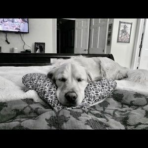 Meet your Posher, Matt